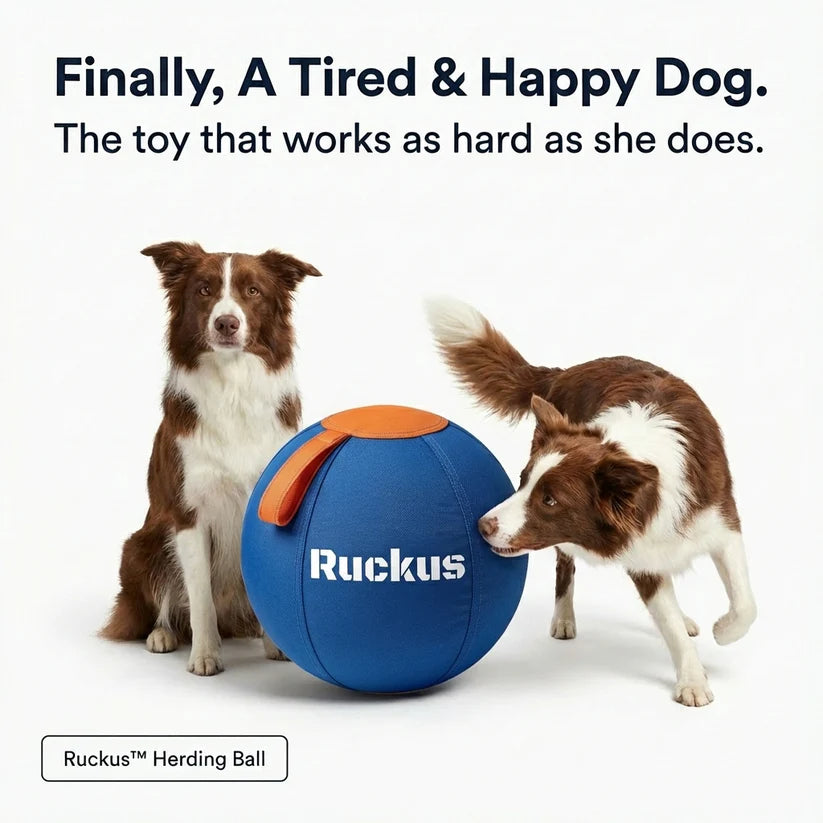 Ruckus Herding Ball