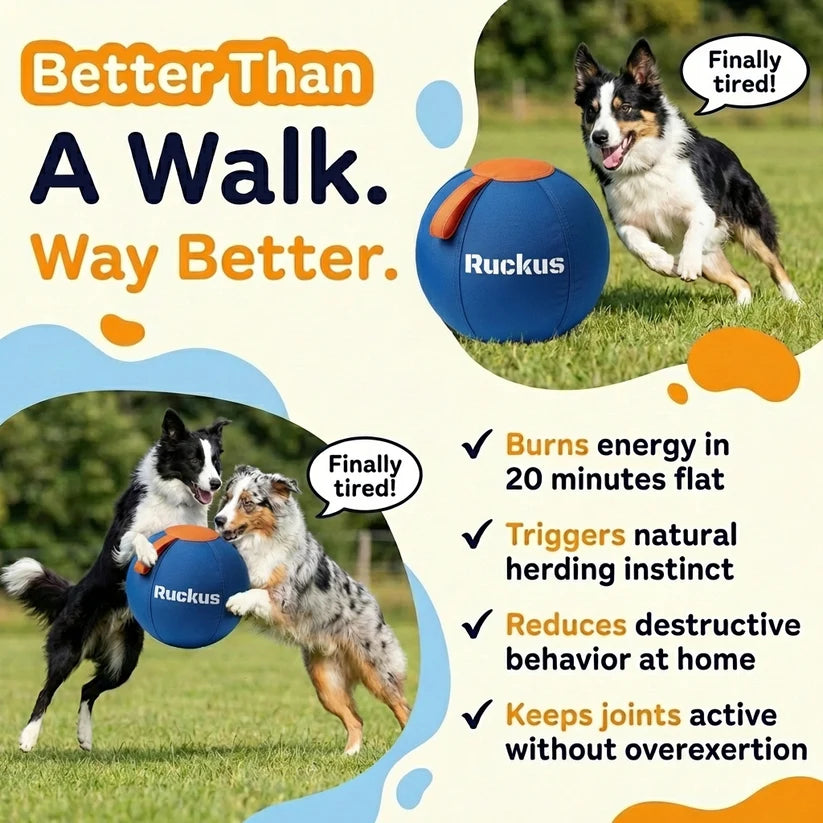 Ruckus Herding Ball