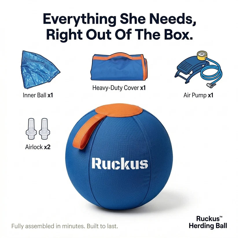 Ruckus Herding Ball