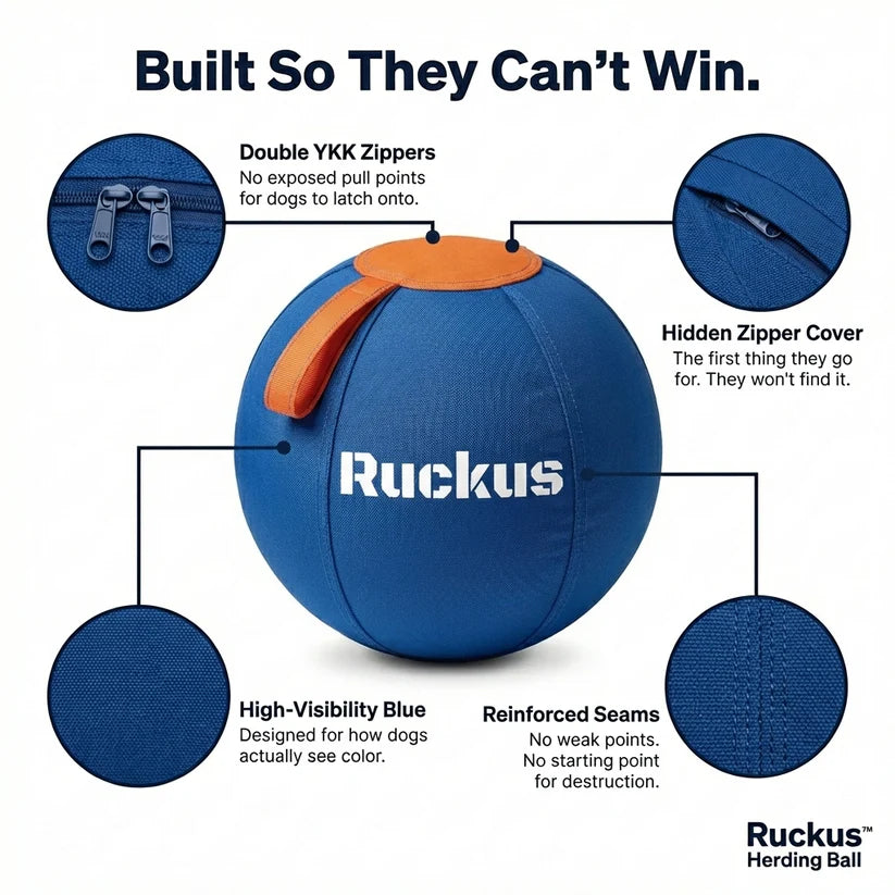 Ruckus Herding Ball