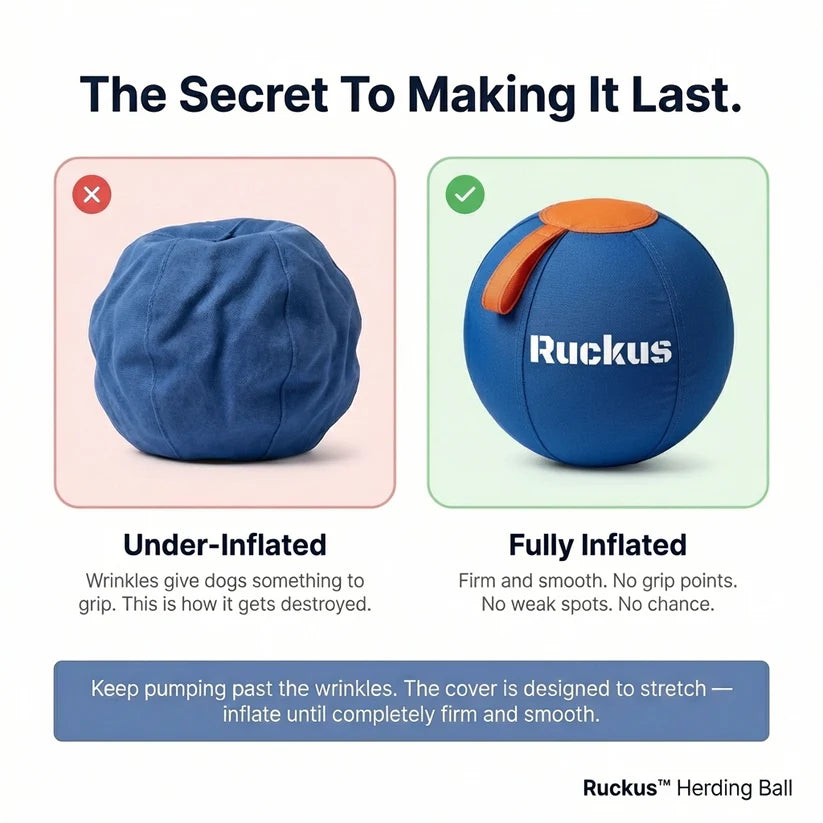 Ruckus Herding Ball