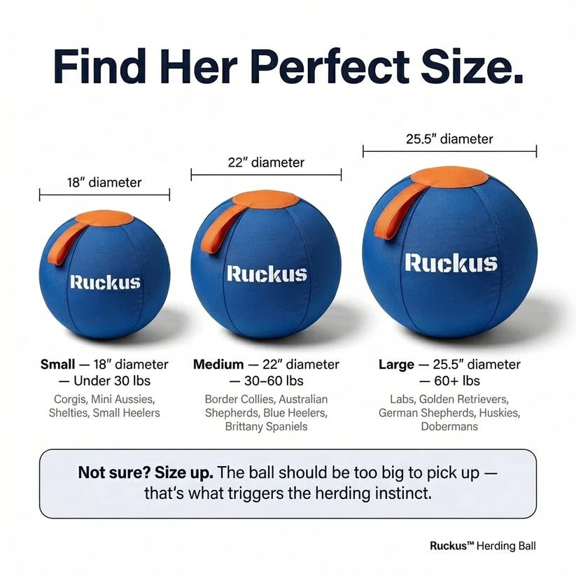 Ruckus Herding Ball